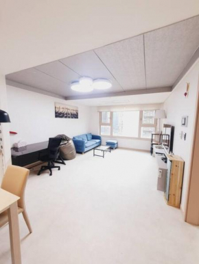 Beautiful apt 3Room 1Bath Gangnam Subway 3min